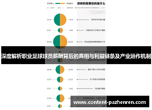 深度解析职业足球球员薪酬背后的真相与利益链条及产业运作机制