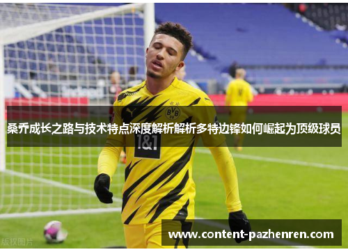 桑乔成长之路与技术特点深度解析解析多特边锋如何崛起为顶级球员